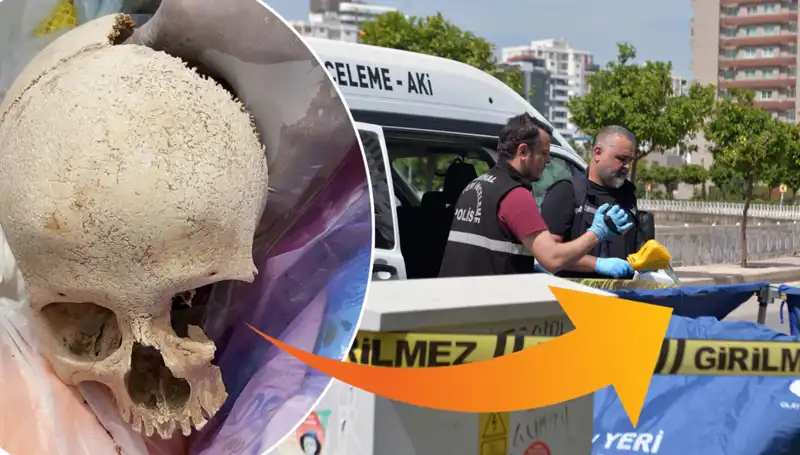 Sitelerdeki Sır: Çöp Tenekesinden Bulunan Kafatası Olayı ve Gözaltı Süreci