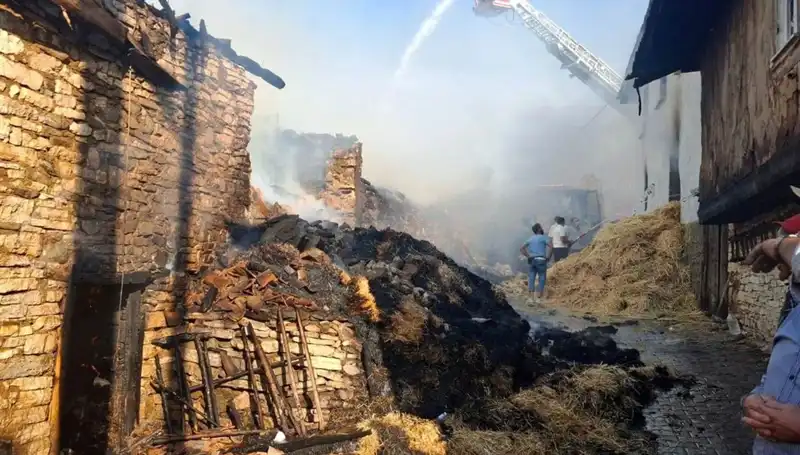 Köyde Çıkan Yangın 4 Evi Alev Alev Sardı, Korkutan Anlar Yaşandı
