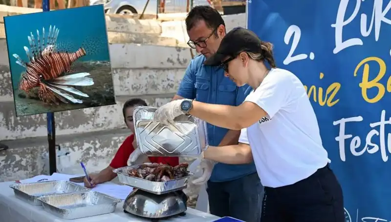Antalya'da İstilacı Aslan Balığı Avlama Yarışması: Denizlerin Koruyucuları Yarışıyor!
