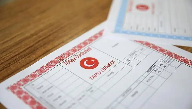 100 Milyonluk Dolandırıcılık: Hisseli Tapu Yalanıyla Tuzağa Düşüren Şebeke!