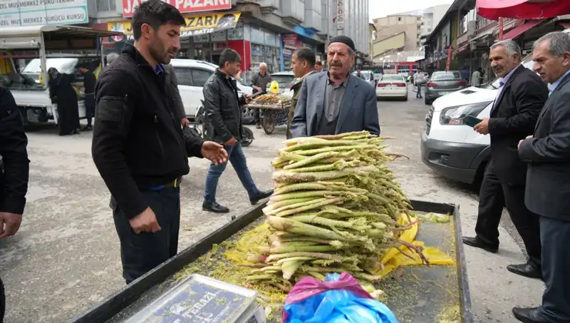 Dağlık Bölgelerde Toplanan Şekerin Sağlık Üzerindeki Etkileri