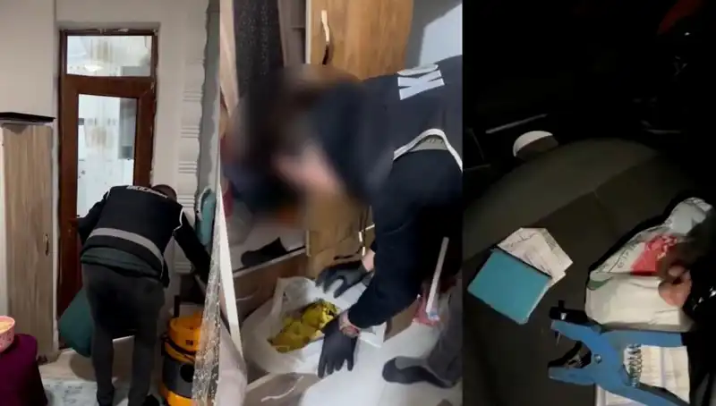 Hayvan Sevk Belgesi Usulsüzlüğü Üzerine Büyük Operasyon: 9 Gözaltı