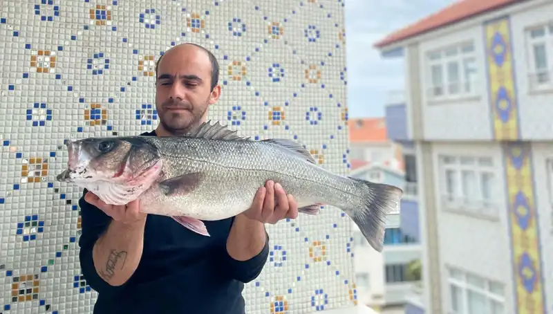 Dev Levrek Avı: 7,5 Kiloluk Balık, Tutkunlarını Şaşırttı!
