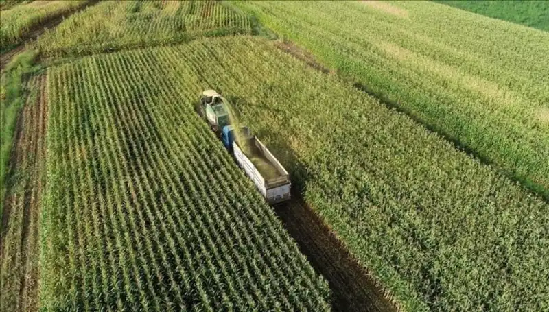 2025 Mart Ayında Mazot ve Gübre Desteği Ödemeleri: Son Gelişmeler