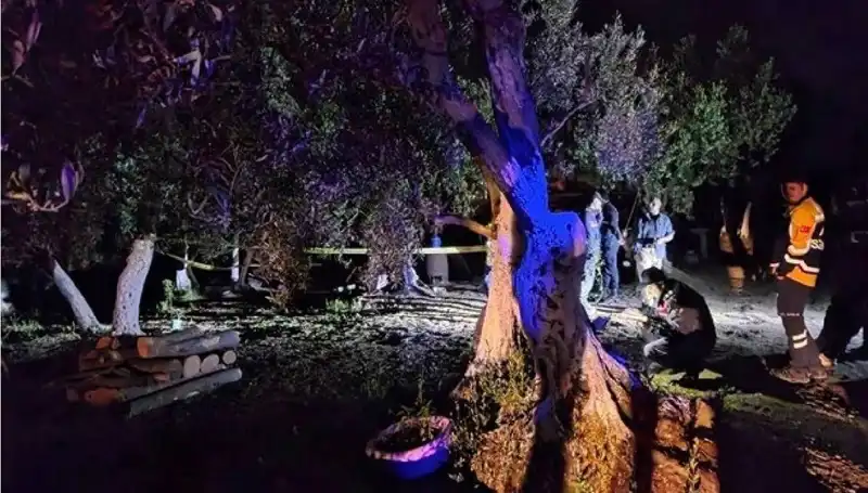 Çiftlikte Baltalı Vahşete Bir Tutuklama: Detaylar Şok Edici!