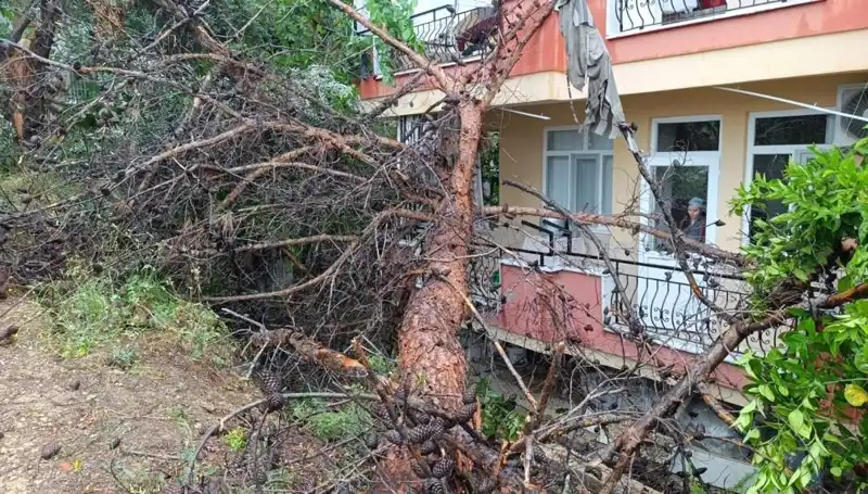 Sonunda Beklenen An Geldi: Yağmur Binayı Sarsıttı ve Devrildi!