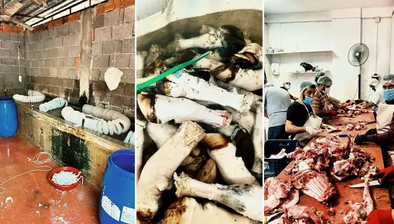 Adana'da Yüzlerce Kilo Paça Ele Geçirildi, İfadeler Şoke Etti!