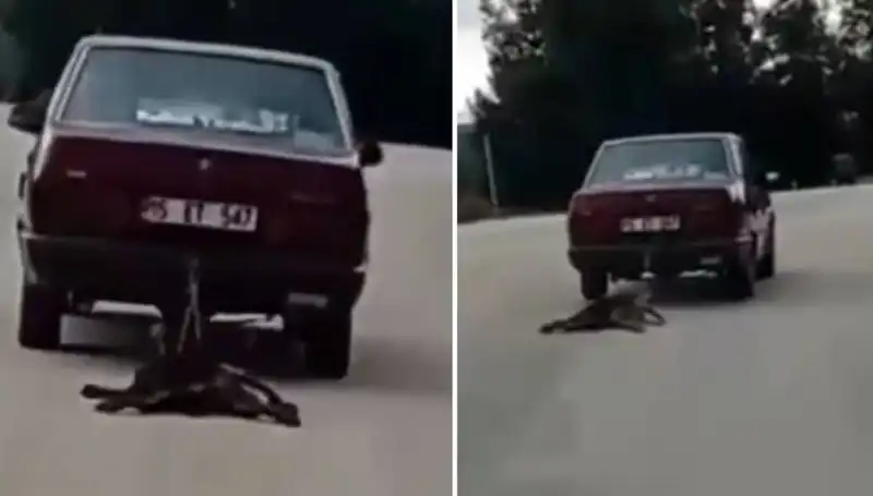 Otomobilin Arkasında Sürüklenen Köpek: Tehlikeli Bir Kaçış Anı
