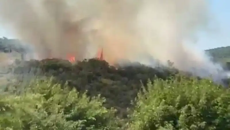 İstanbul’da Orman Yangını: Acil Tahliye ve Mücadele Harekete Geçti