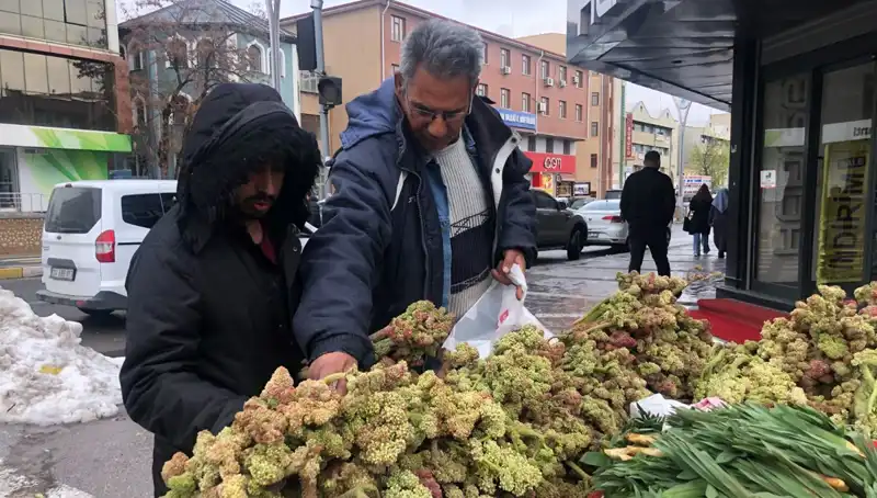 Kendiliğinden Yetişen Vitamin Deposunun Kanser Tedavisindeki Önemi