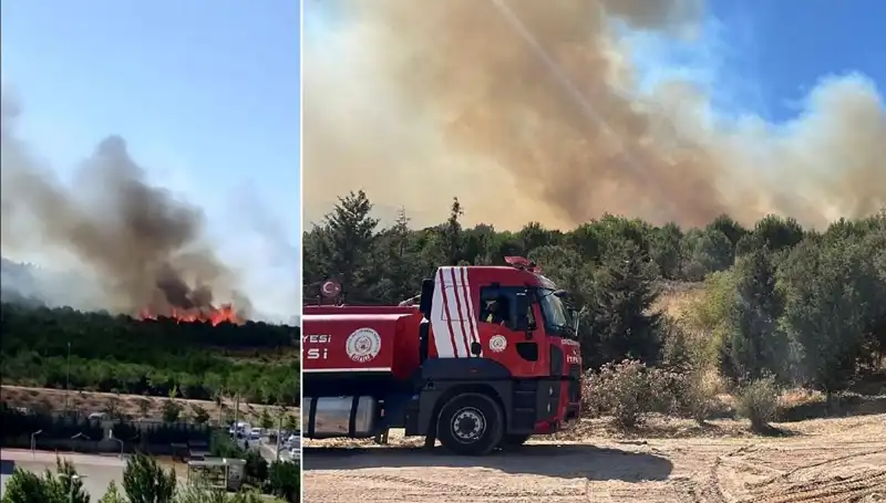 Gebze'de Çıkan Orman Yangını: Ekipler Seferber Oldu!