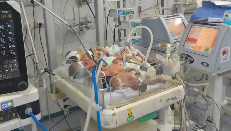 Gazzeli Doktorların Çağrısı: "Birden Fazla Bebek Aynı Kuvözde Hayat Mücadelesi Veriyor"
