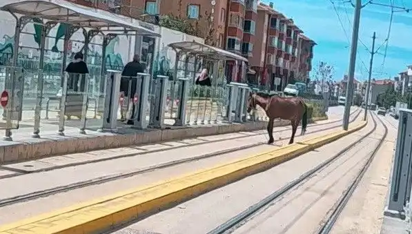 Eskişehir'de Tramvay Raylarında Başımıza Gelen Sıradışı Olay