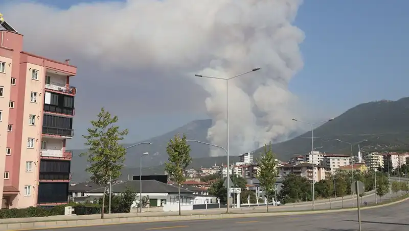 Denizli Orman Yangınında Şoke Eden Gözaltı: Kimse Beklemiyordu!