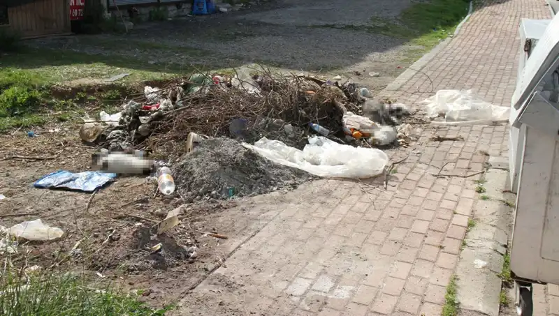 Antalya’da Şok Edici Vahşet: 10 Kedi Ölüsü Bulundu, Soruşturma Başlatıldı