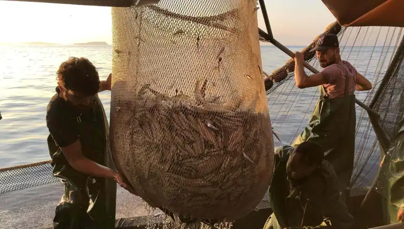 Balıkçılar İhlal Edenlere Ceza Yağdırıyor: Sektörde Sarsıntılı Günler Mi Geliyor?