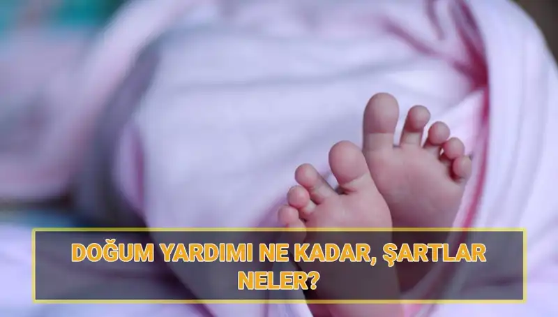 2025’te 5 Bin Lira Doğum Yardımı Başvurusu: Şartlar ve Süreç Detayları