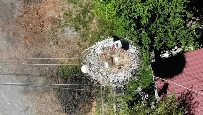 22 Yıl Sonra Baharın Mektebi: Yuvaya Dönüş ve Doğanın Yeniden Canlanışı