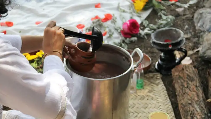 Ayahuasca: Yasak mı, Yoksa Doğanın Bir Hediyesi mi?