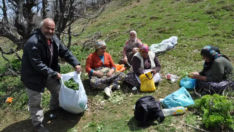 Yüzlerce Ailenin Umudu: 5 Saatlik Yürüyüşle 250 Liraya Elde Edilen Hazine