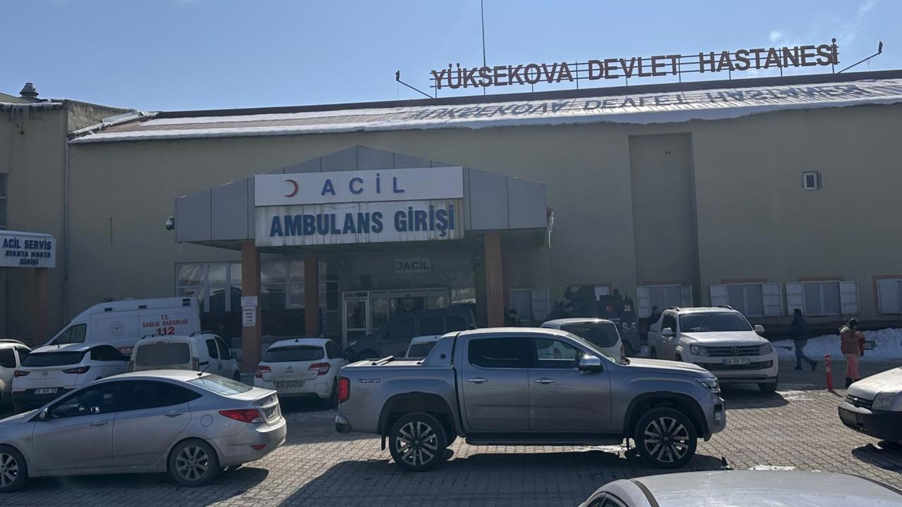 Mellwood kasabasında başıboş köpeklerin saldırısında ölen çocuk için müfettiş görevlendirildi.