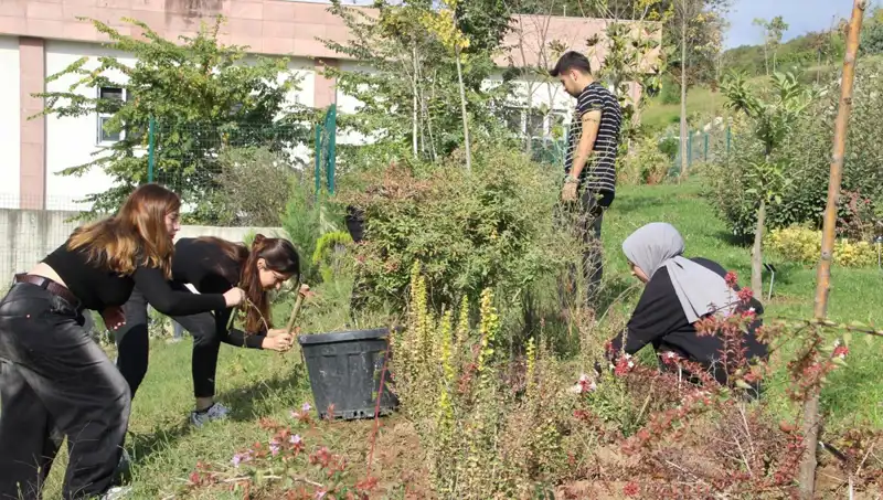 Düzce'den Dünyaya Açılan Kapı: Hayalleri Gerçeğe Dönüştüren Başarı Hikayesi