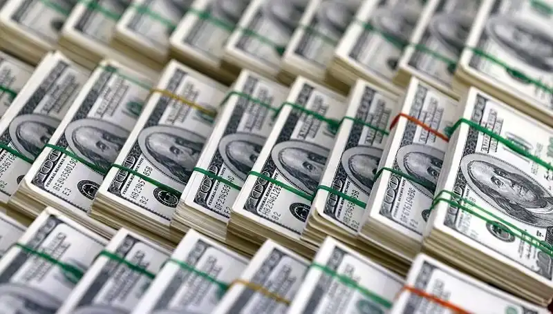 Doların Yükselişi Hızlanıyor: Ekonomistler Uyardı!