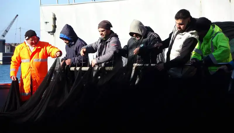 Denizlerde Hamsi Avı: Balıkçılar Erken Paydos Etti, Sebebi Ne?