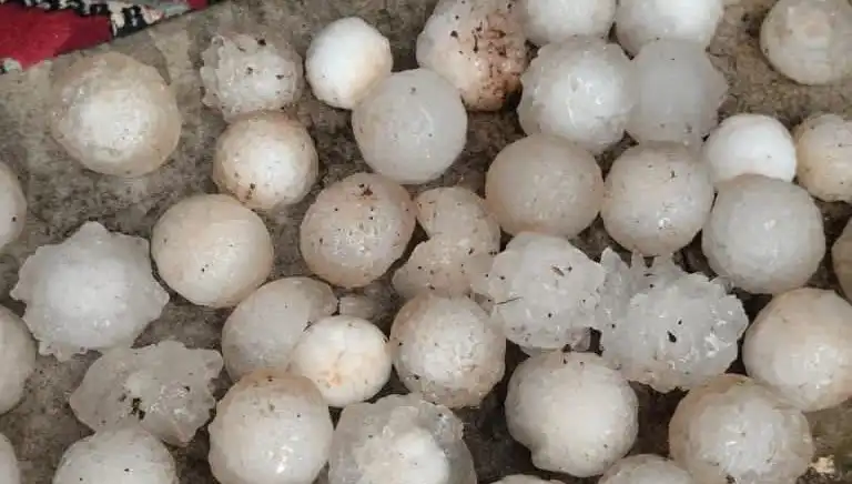 Şanlıurfa'da Kar Topu Büyüklüğünde Dolu Yağışı Yaşamı Olumsuz Etkiledi